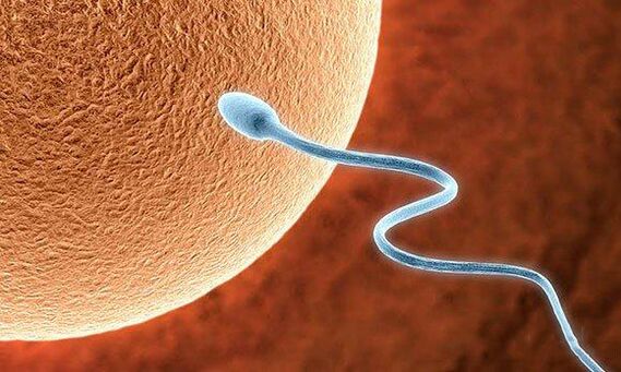Pre -Biological Functions