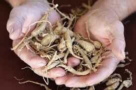 increase potential in men in a natural way